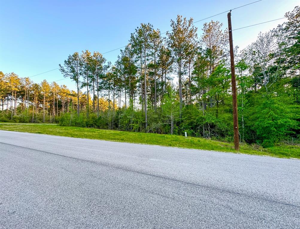00 Copperleaf Road, Huntsville, Texas image 10