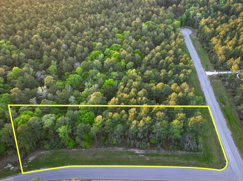 00 Copperleaf Road, Huntsville, Texas image 12
