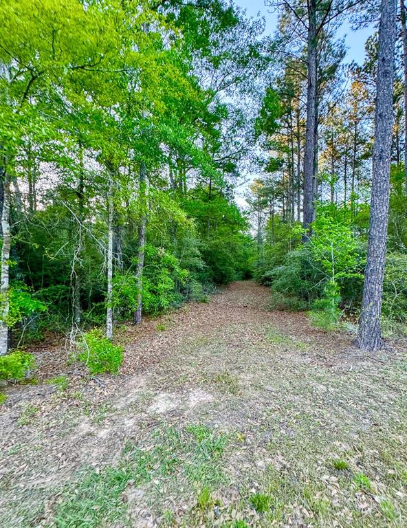 00 Copperleaf Road, Huntsville, Texas image 14