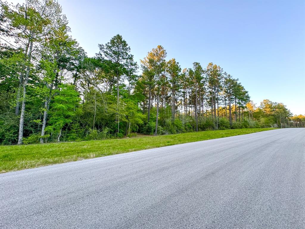 00 Copperleaf Road, Huntsville, Texas image 11