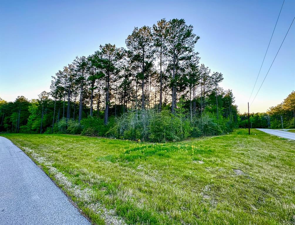 00 Copperleaf Road, Huntsville, Texas image 4