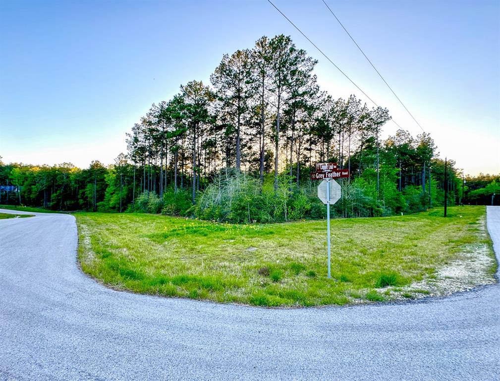 00 Copperleaf Road, Huntsville, Texas image 8