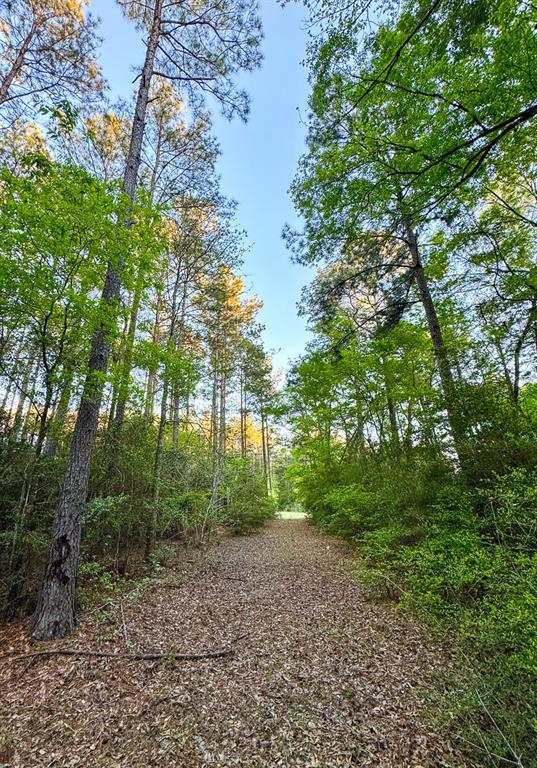 00 Copperleaf Road, Huntsville, Texas image 6