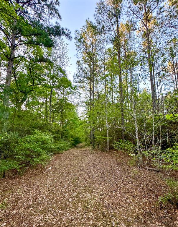 00 Copperleaf Road, Huntsville, Texas image 5