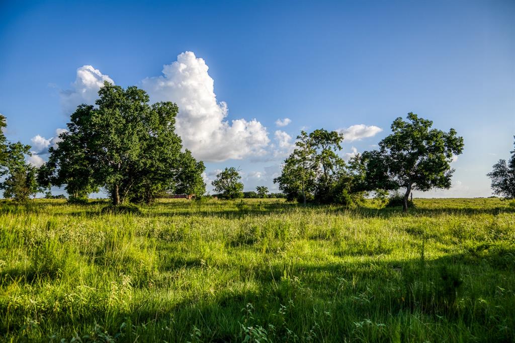 TBD Fm 1094, Sealy, Texas image 5