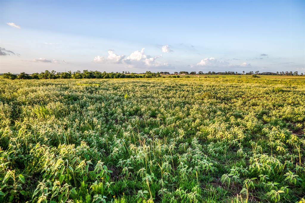 TBD Fm 1094, Sealy, Texas image 15