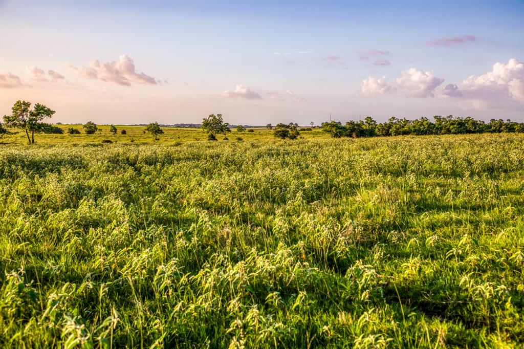 TBD Fm 1094, Sealy, Texas image 22