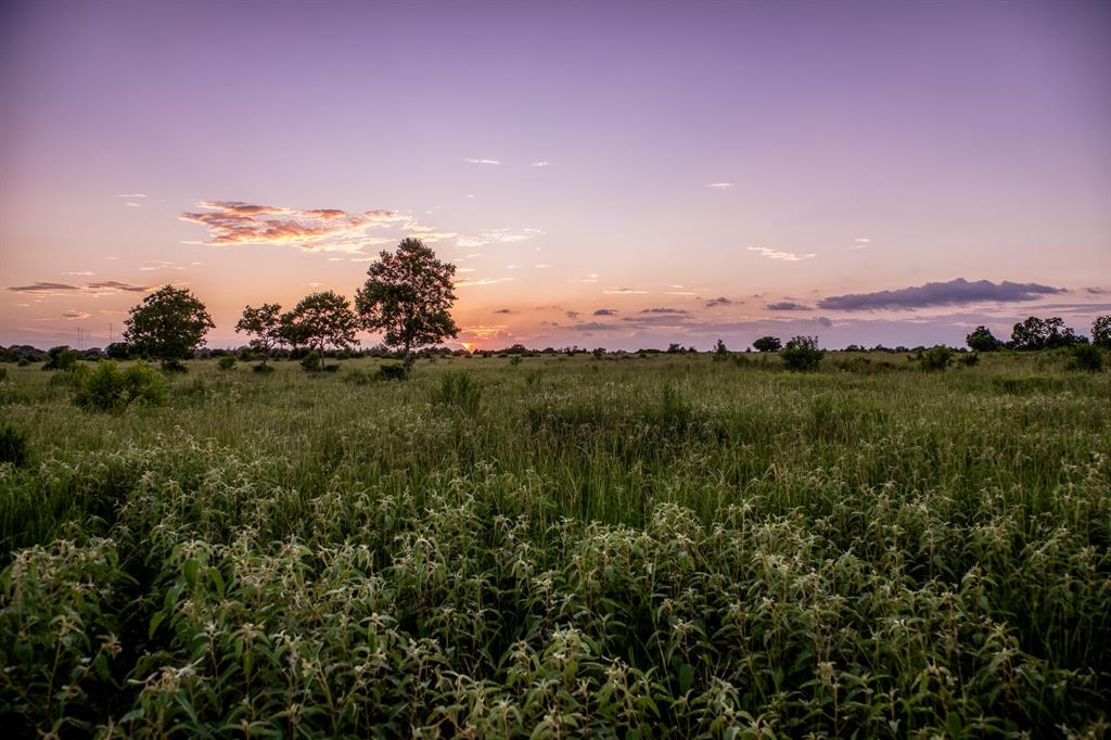 TBD Fm 1094, Sealy, Texas image 2