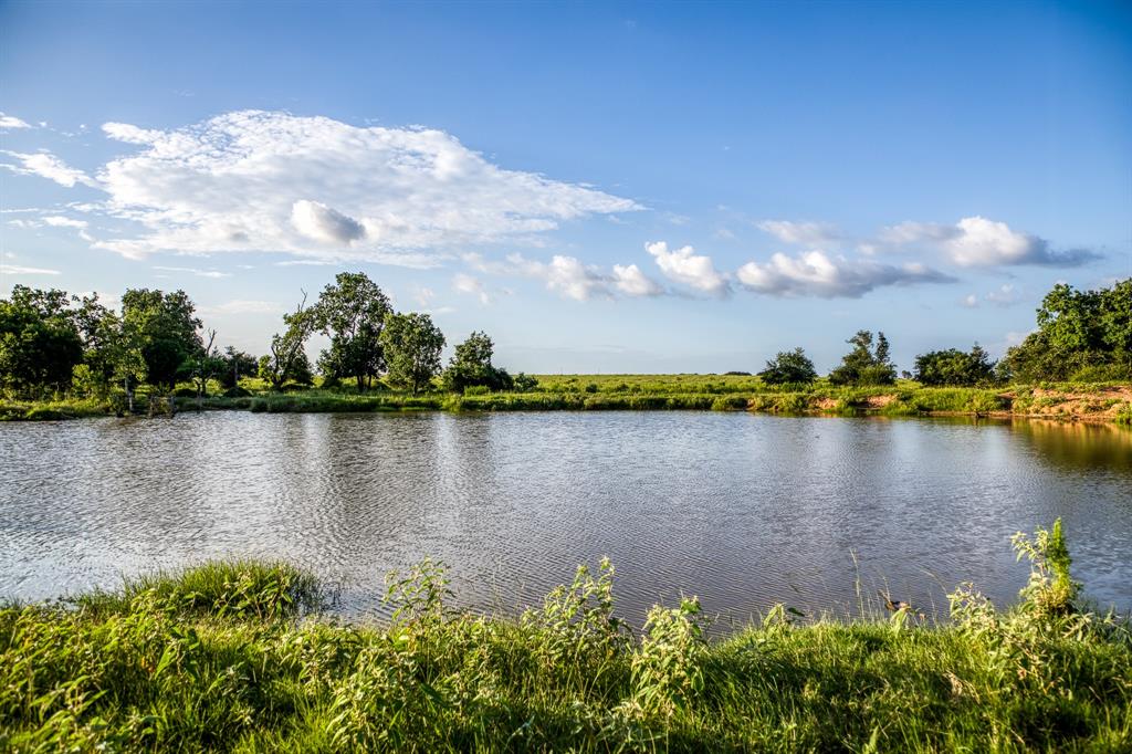 TBD Fm 1094, Sealy, Texas image 9