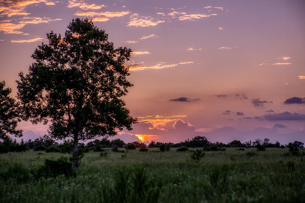 TBD Fm 1094, Sealy, Texas image 30