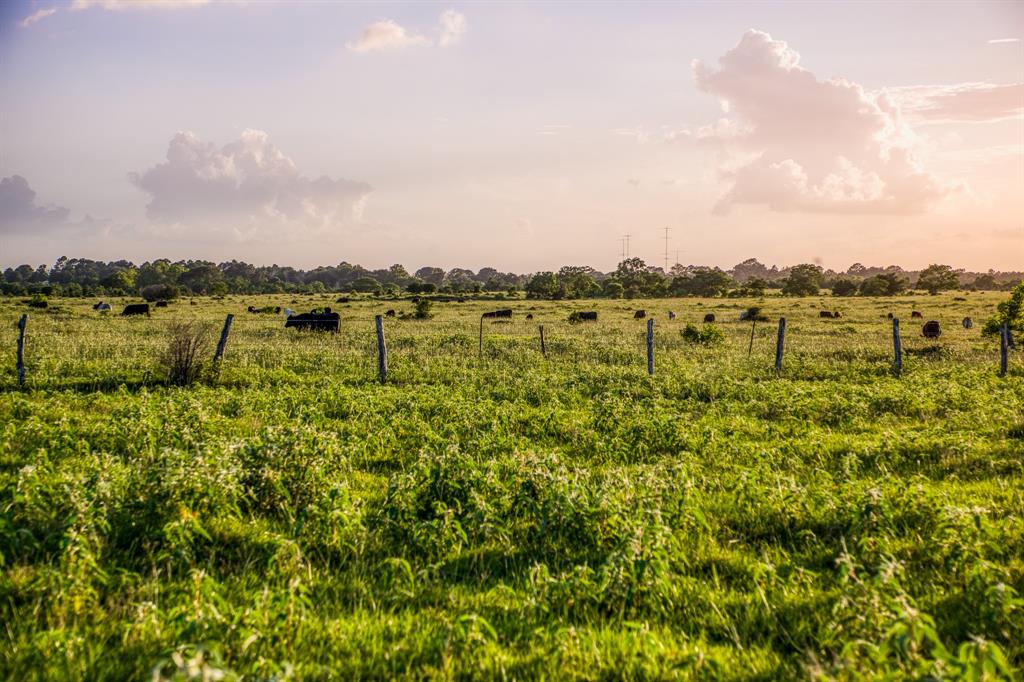 TBD Fm 1094, Sealy, Texas image 17