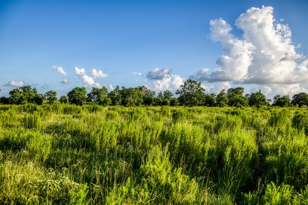 TBD Fm 1094, Sealy, Texas image 8