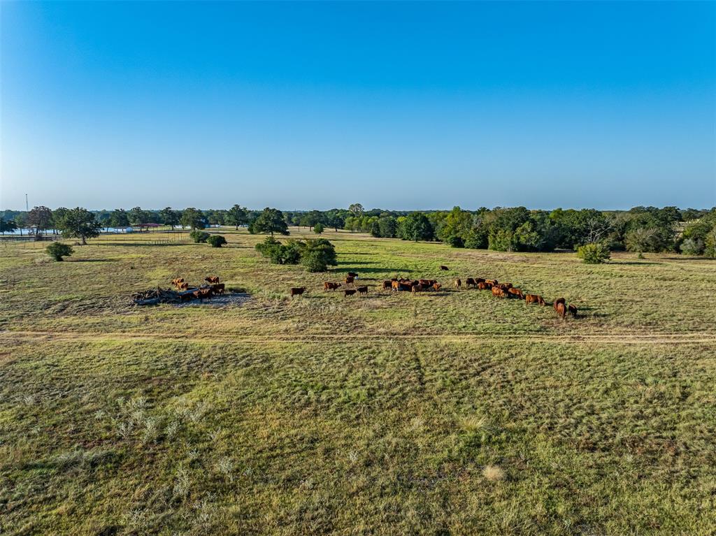 2869 County Road 103, Iola, Texas image 31