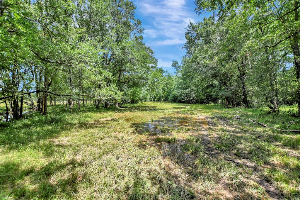 64 AC Fm 2548, Midway, Texas image 9