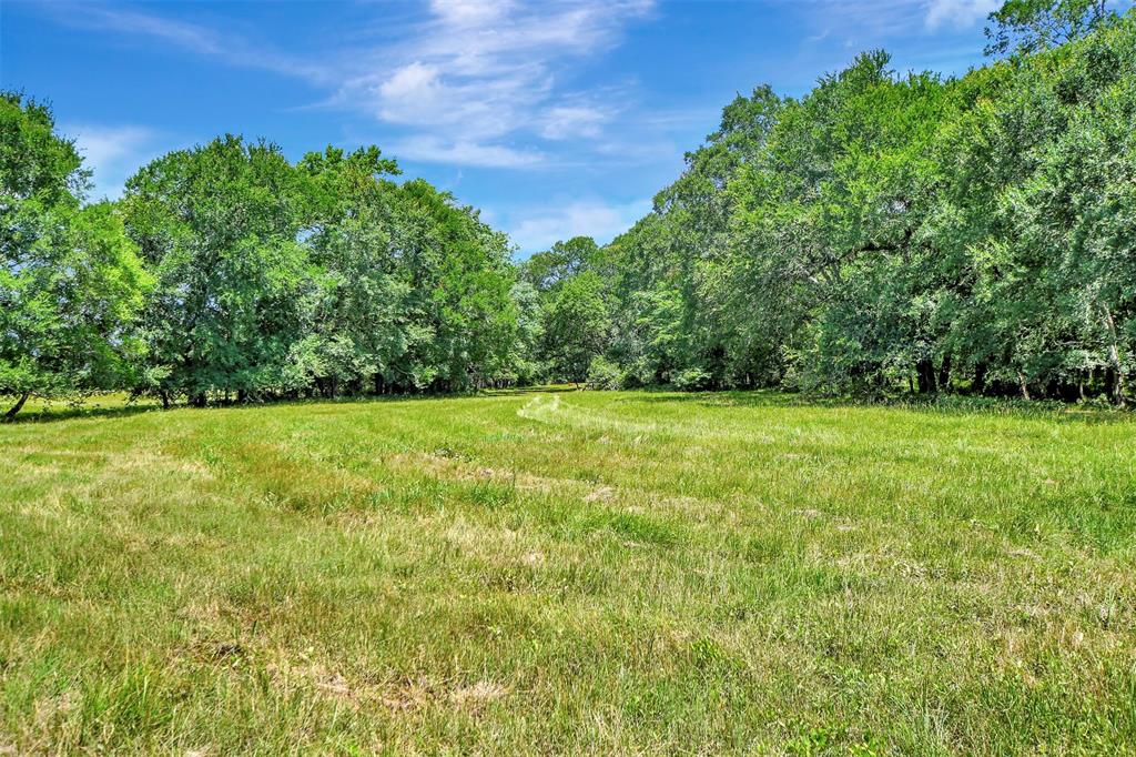 64 AC Fm 2548, Midway, Texas image 8