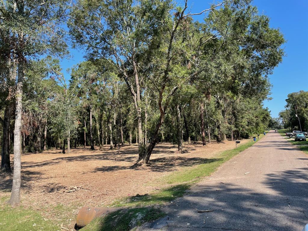 20852 Oakshade Drive, New Caney, Texas image 1