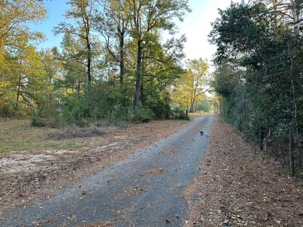 Jennings Road, Willis, Texas image 2