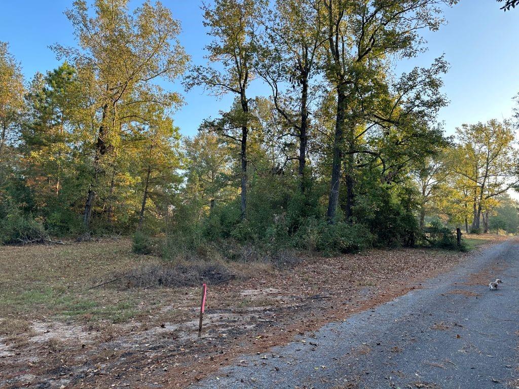 Jennings Road, Willis, Texas image 3