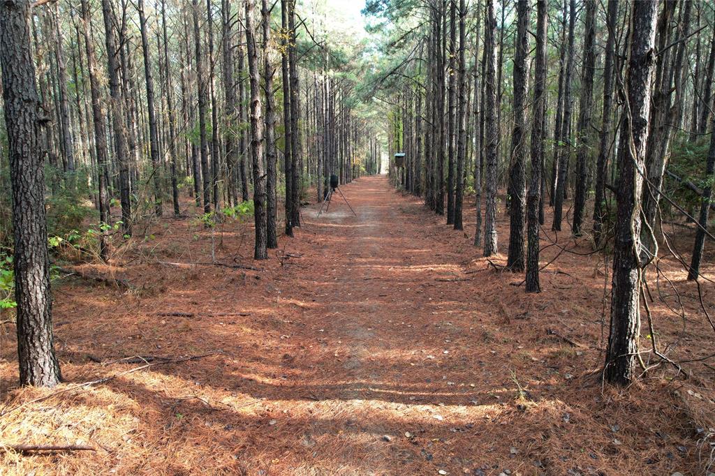 350 Williamson Way, Lovelady, Texas image 8