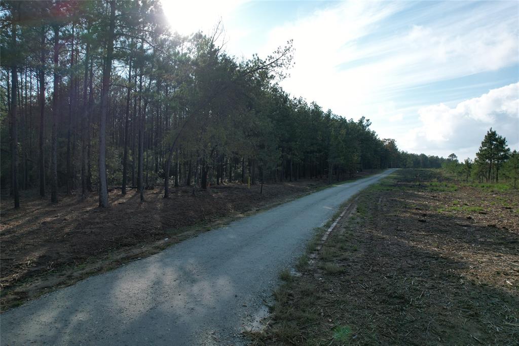 350 Williamson Way, Lovelady, Texas image 3
