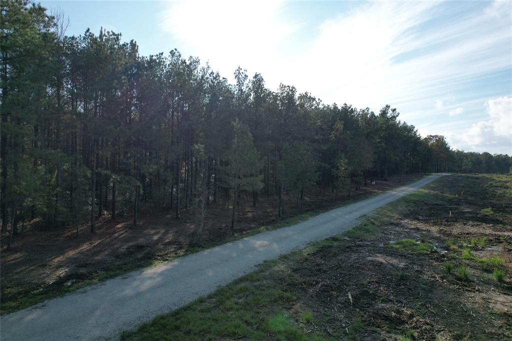 350 Williamson Way, Lovelady, Texas image 4