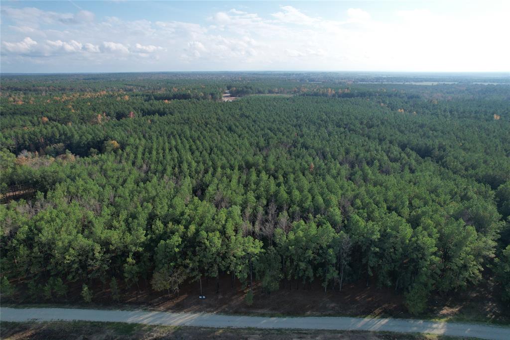 350 Williamson Way, Lovelady, Texas image 2