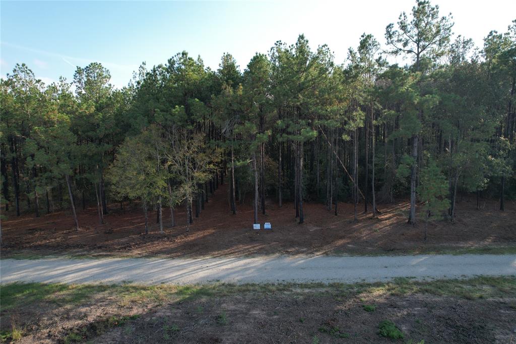 350 Williamson Way, Lovelady, Texas image 5