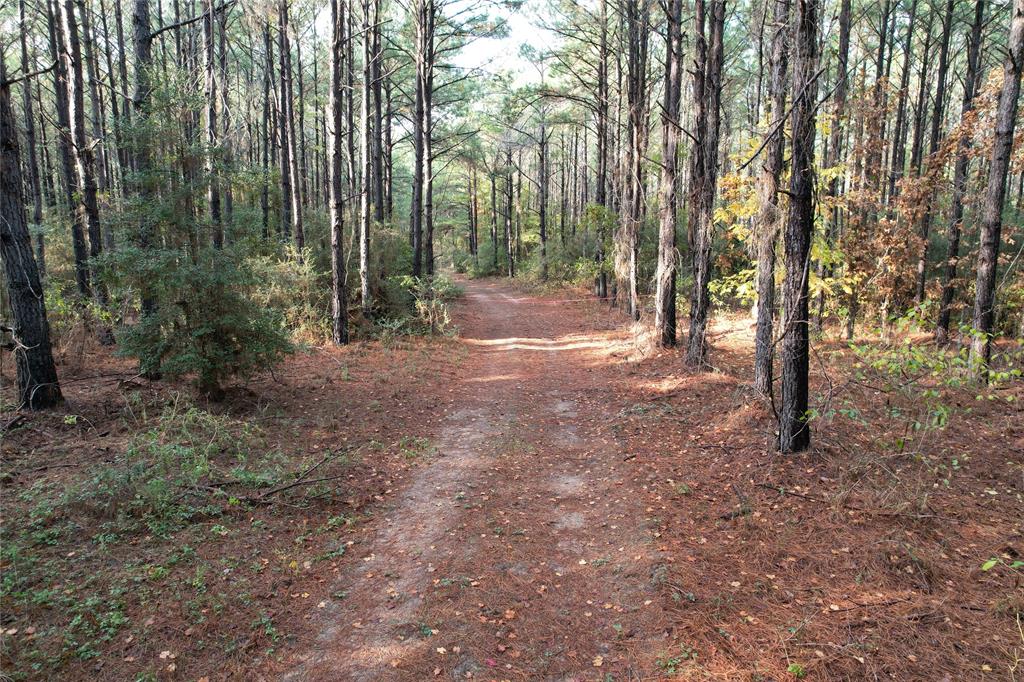 350 Williamson Way, Lovelady, Texas image 1