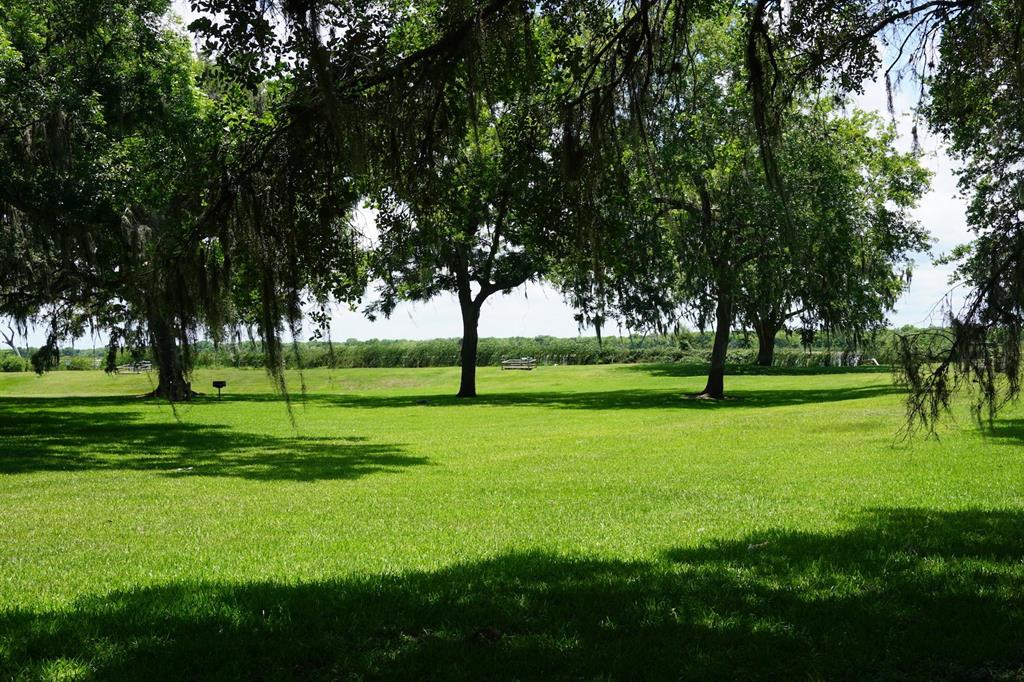 0 Brahman Trail