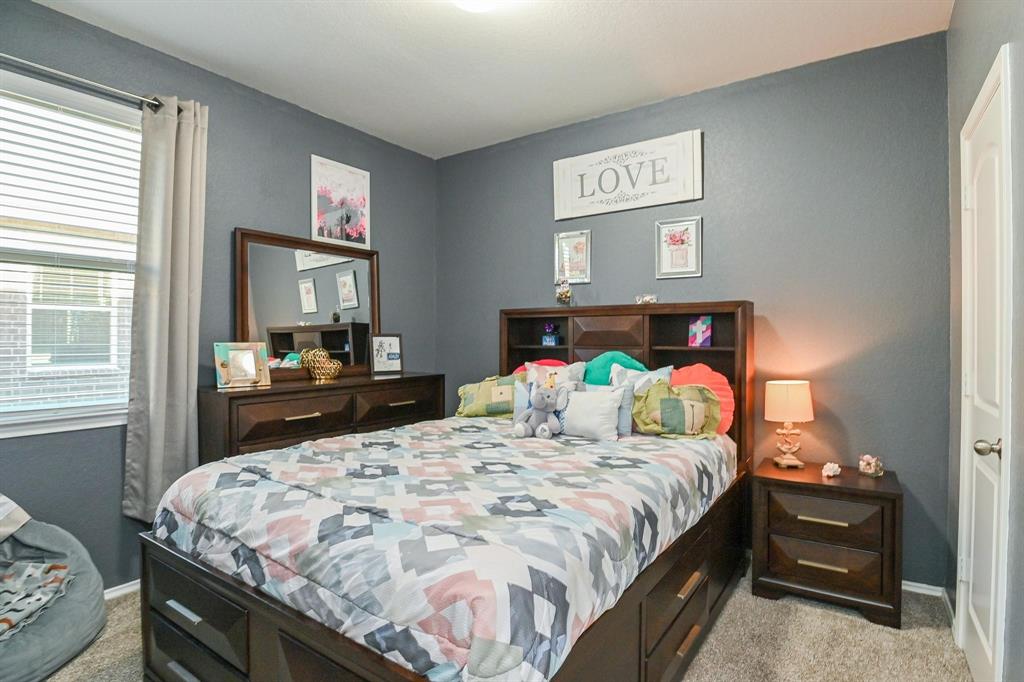 21003 Iris Holly Street, Katy, Texas image 22