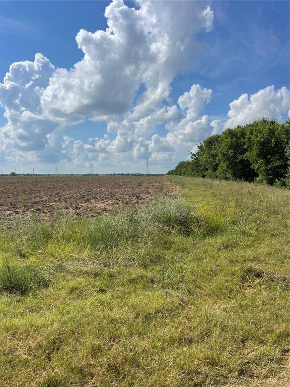 County Road 46 Cr-46, Angleton, Texas image 10