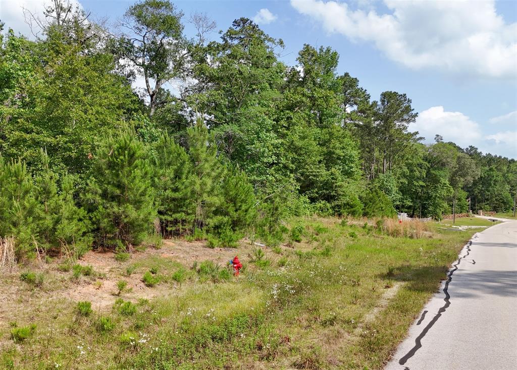 192 Inscription Lane, Huntsville, Texas image 2