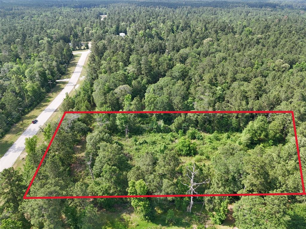 192 Inscription Lane, Huntsville, Texas image 4