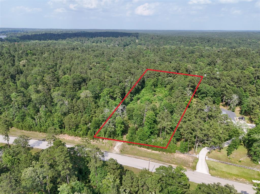 192 Inscription Lane, Huntsville, Texas image 3