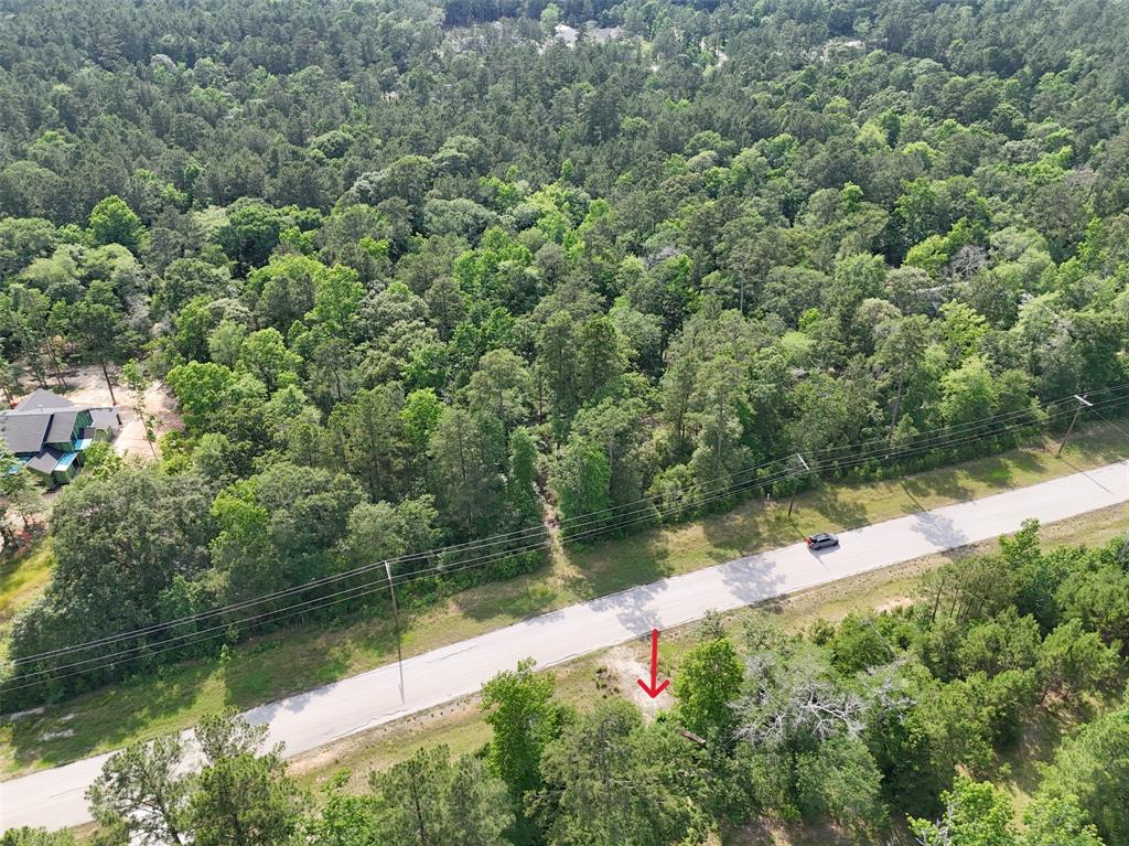 192 Inscription Lane, Huntsville, Texas image 7