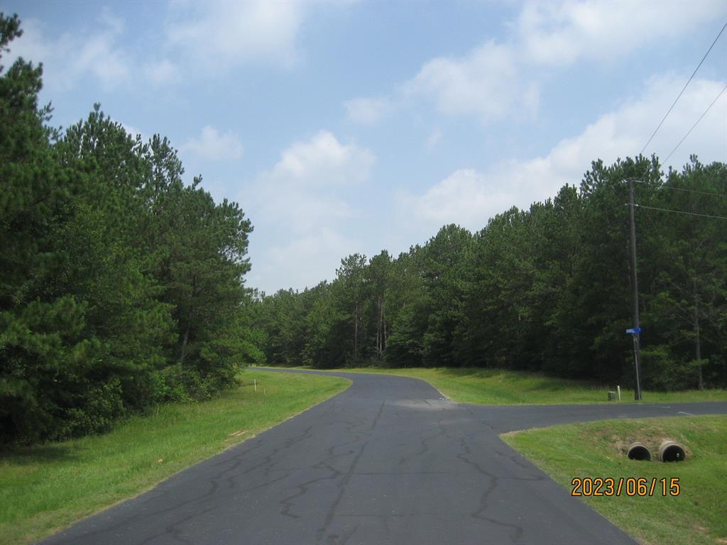 30079 Round Up Drive, Waller, Texas image 9