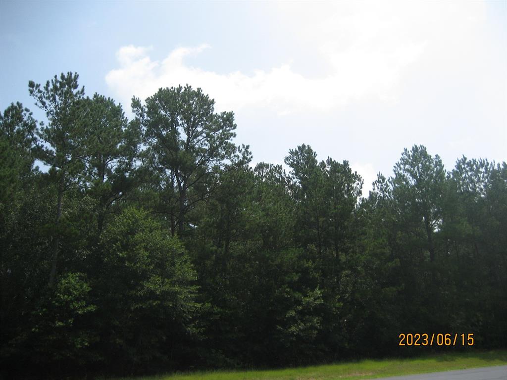 30079 Round Up Drive, Waller, Texas image 16