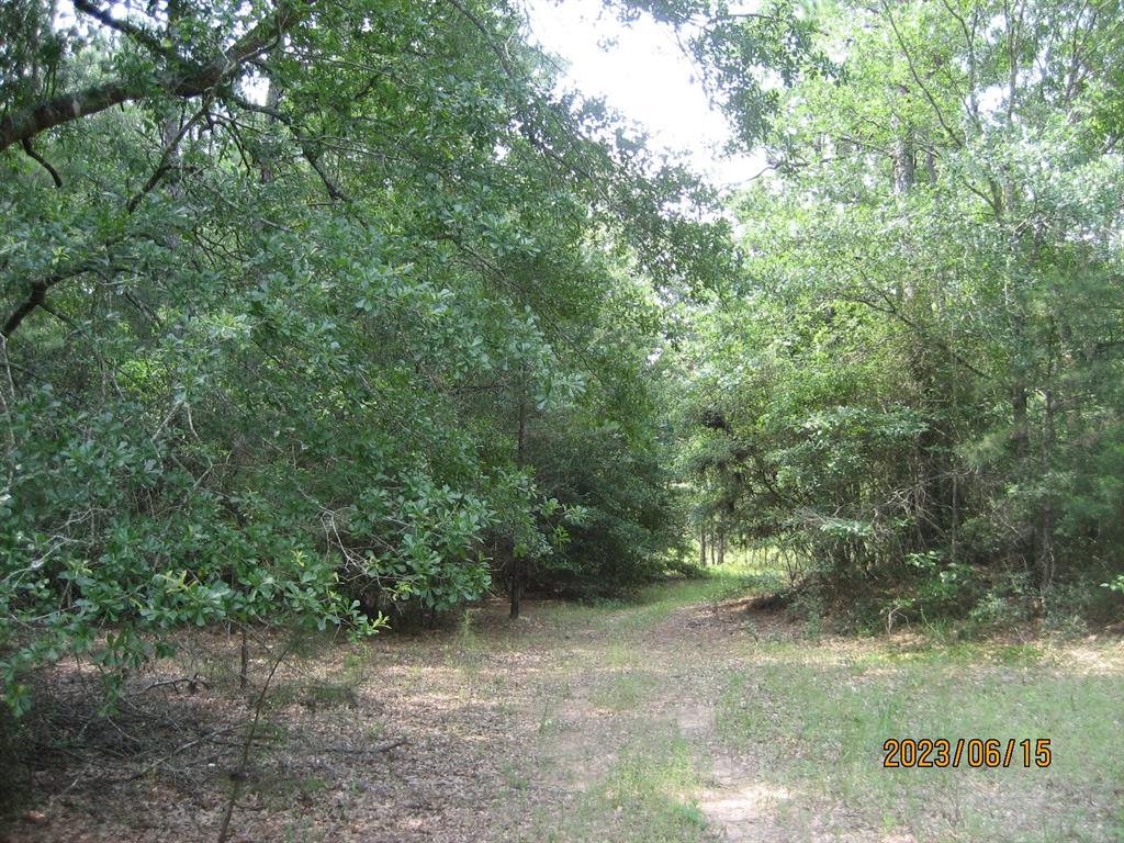 30079 Round Up Drive, Waller, Texas image 13