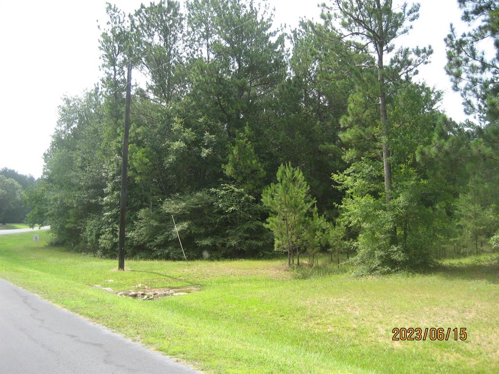 30079 Round Up Drive, Waller, Texas image 6