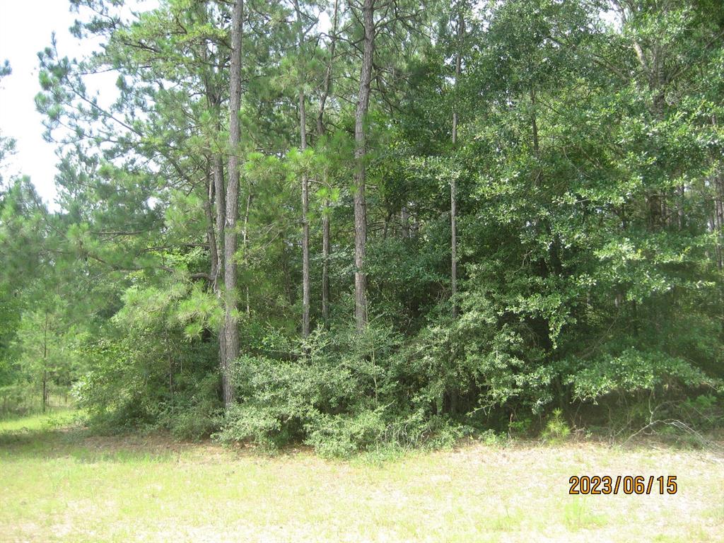 30079 Round Up Drive, Waller, Texas image 8