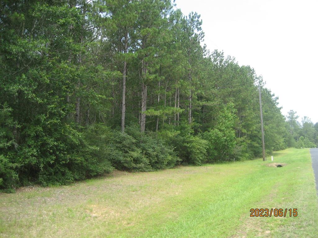 30079 Round Up Drive, Waller, Texas image 7