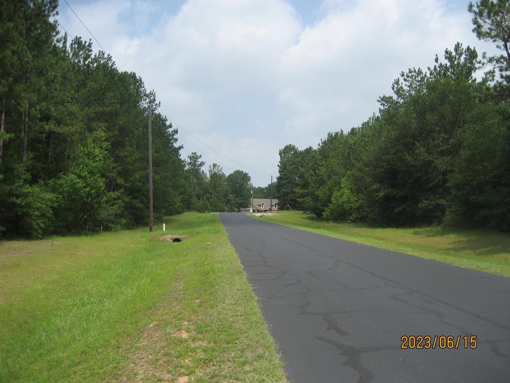 30079 Round Up Drive, Waller, Texas image 10