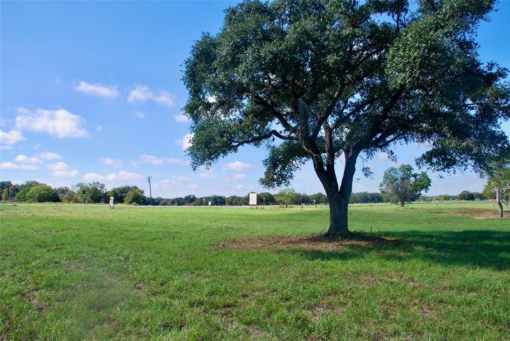 T B D Hwy 90a, Hallettsville, Texas image 9