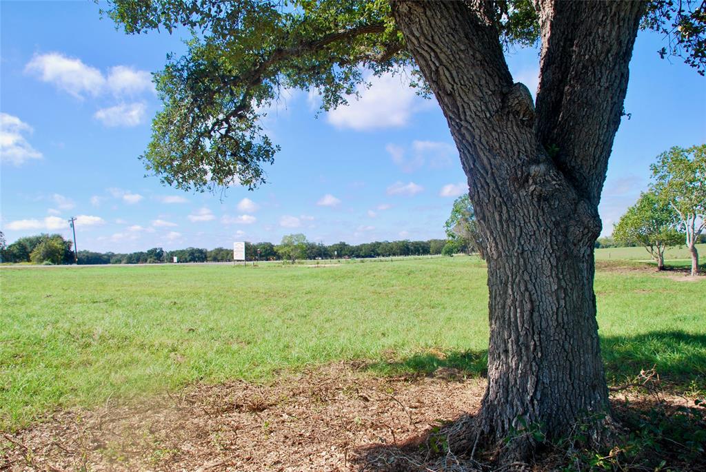 T B D Hwy 90a, Hallettsville, Texas image 12