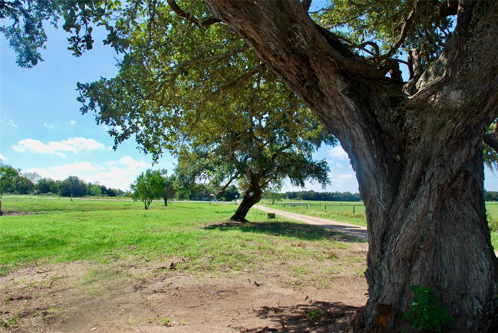 T B D Hwy 90a, Hallettsville, Texas image 19