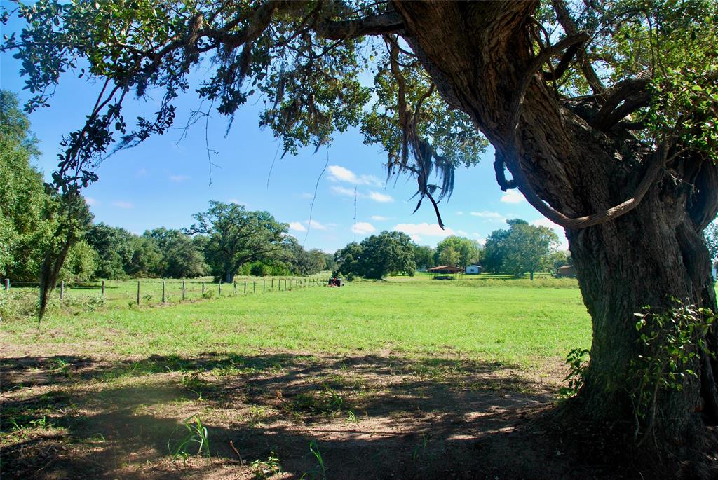 T B D Hwy 90a, Hallettsville, Texas image 5