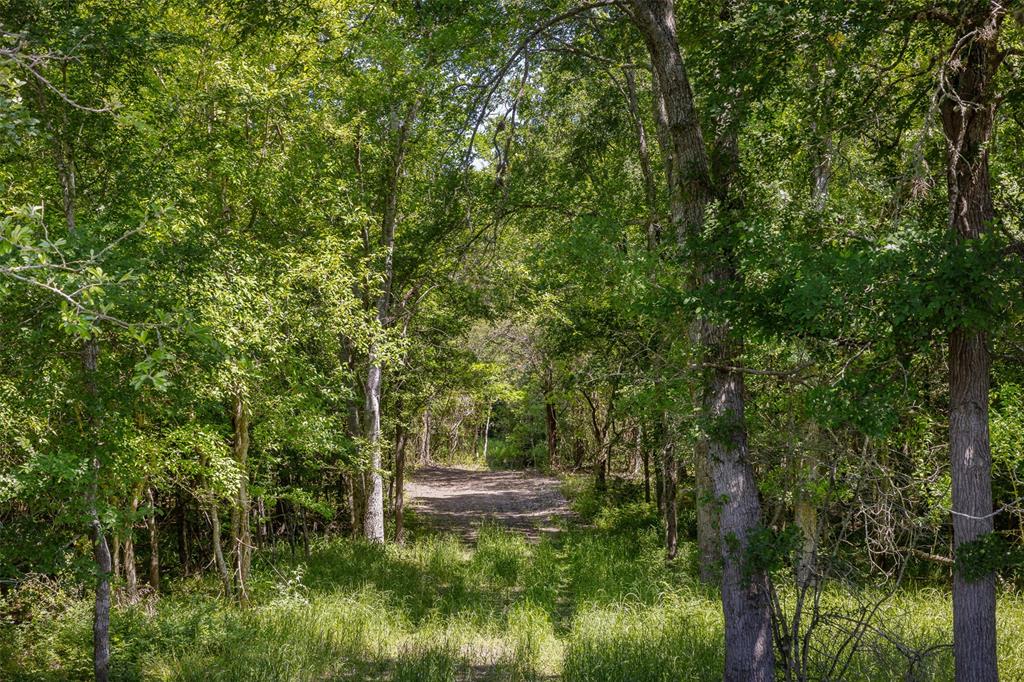 2730 Wunderlich Road, Fayetteville, Texas image 32