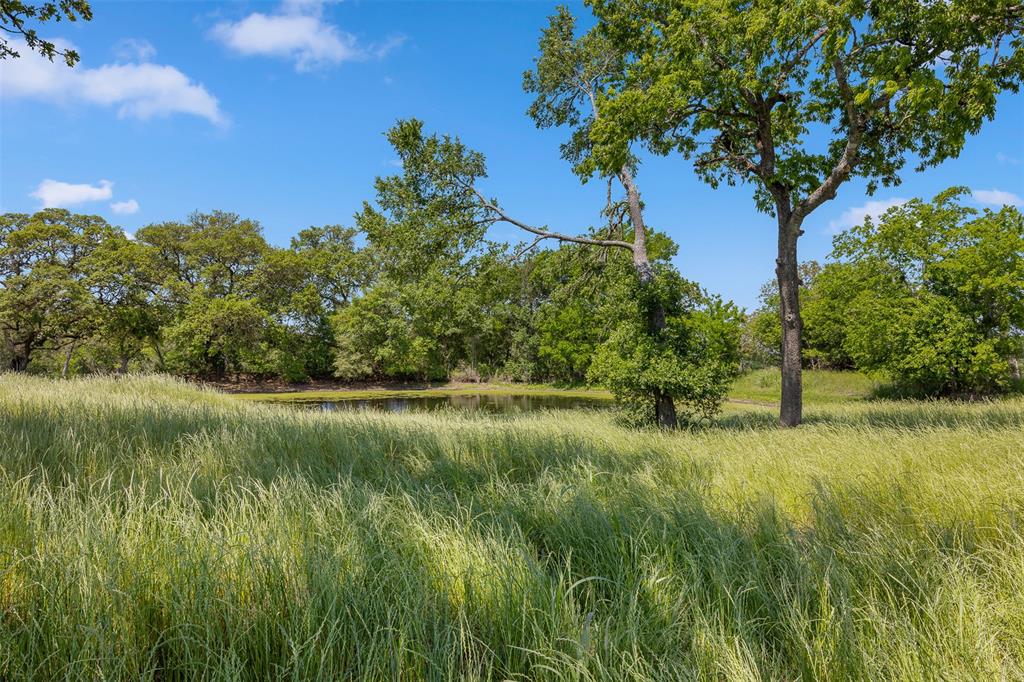 2730 Wunderlich Road, Fayetteville, Texas image 31