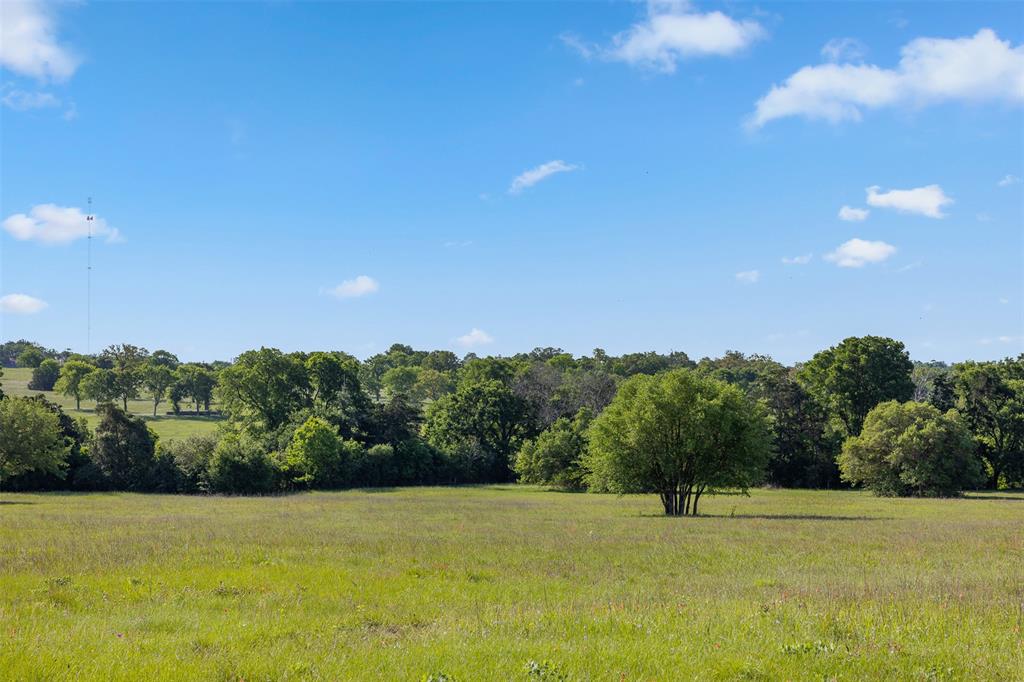 2730 Wunderlich Road, Fayetteville, Texas image 29