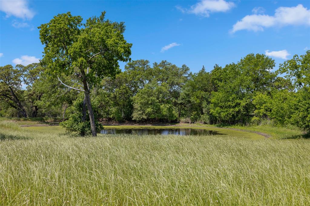 2730 Wunderlich Road, Fayetteville, Texas image 30